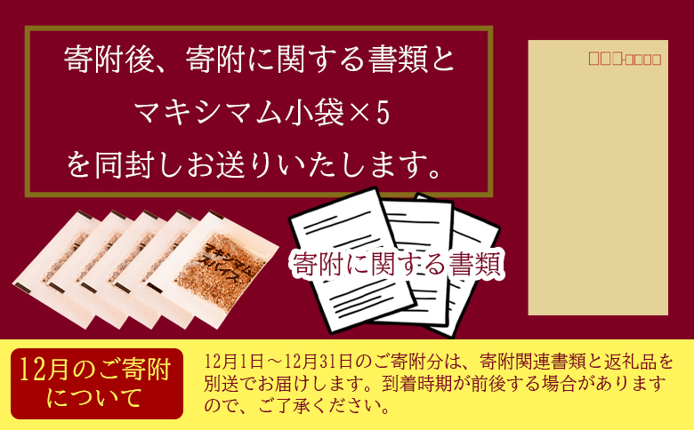 ＜マキシマムスパイス小袋10g (2g×5袋)＞ オリジナル スパイス 万能 なんにでも合う 炒め物 焼き肉 焼肉 サラダ スープ 炒飯 調味料 かけるだけ 簡単 調理 お手軽 持ち歩き 携帯用 小分けパック 魔法のスパイス 【MI572-nk】【中村食肉】