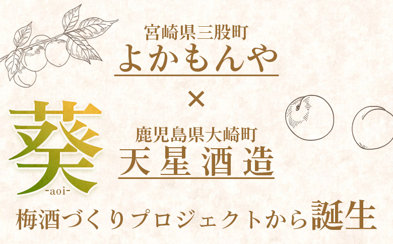 ＜みまたの梅酒 葵-aoi- 500ml×1本＞ アルコール お酒 13度 リキュール 果実酒【MI631-yk】【みまたんよかもん協同組合】