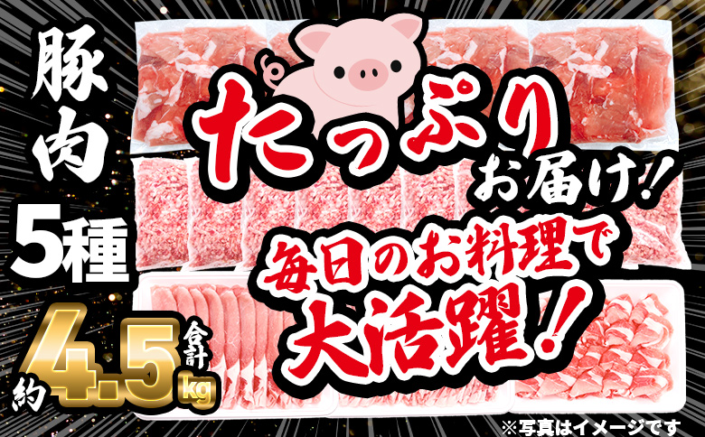 ＜【生活応援】宮崎県産 味彩豚 豚肉バラエティセット 約4.5kg＞ ぶた ブタ 切り落とし 豚こま ローススライス 生姜焼き しゃぶしゃぶ 豚ミンチ ハンバーグ 野菜炒め 餃子 煮込み 炒め物 たっぷり料理 【MI634-tr】【TRINITY】