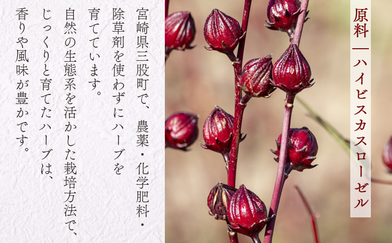 ＜ハーブティー （ローゼル 約22g）＞国産 ハーブ ドライ お茶 ドリンク【MI673-bi】【美香園】