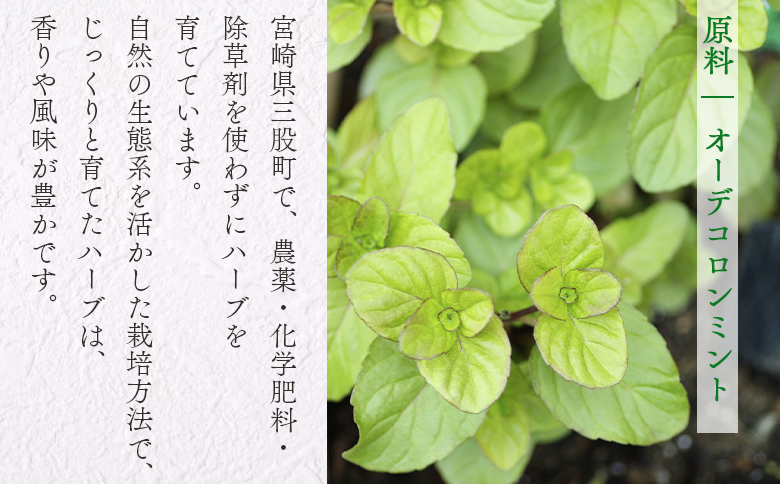 ＜ハーブティー （オーデコロンミント 約13g）＞国産 ドライ ハーブ お茶 ドリンク【MI675-bi】【美香園】