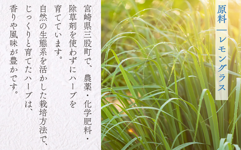 ＜ハーブティー （レモングラス 約15g）＞国産 ドライ ハーブ お茶 ドリンク【MI677-bi】【美香園】