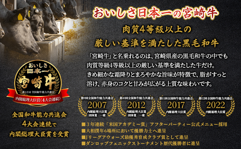 ＜宮崎牛赤身【焼肉】（ウデorモモ）300g＞【3月発送】脂控えめ ヘルシー あっさり うで もも 炒め物 肉料理 ご馳走 国産 ブランド牛肉 黒毛和牛【MI681-my-mar】【ミヤチク】 【焼肉/300g】3月発送