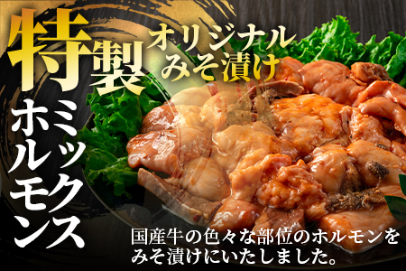 【数量限定】＜国産牛ミックスホルモン みそ漬 500g(約500g×1)＞国産 牛肉 肉 ホルモン モツ 大腸 冷凍 焼肉 BBQ もつ鍋 煮込み 小分け 焼くだけ 簡単 タレ漬け 簡易包装【MI705-hr】【肉の豊楽】 500g(約500g×1)