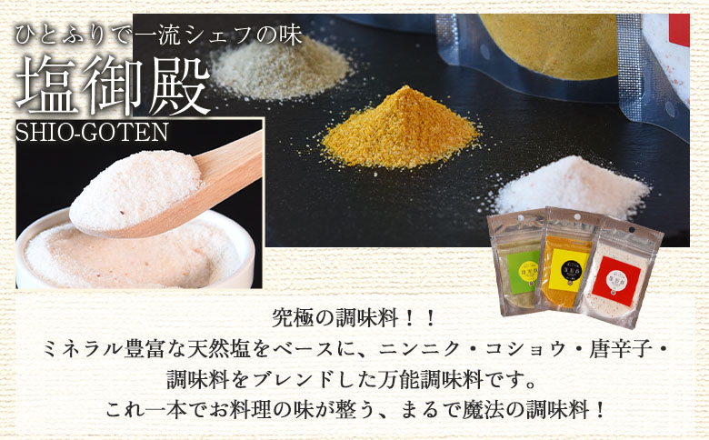  ＜我生天味噌と塩御殿(白)のセット＞ 調味料 しお スパイス みそ 鍋 料理【MI707-gs】【我生庵】