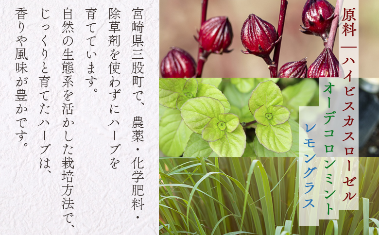 ＜ハーブティー ティーバッグ 1袋3個入（レモグラミント）＞国産 乾燥 ハーブティードリンク ノンカフェイン レモングラス オーデコロンミント ブレンドティー【MI712-bi】【美香園】 レモグラミント