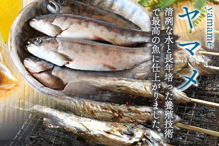 ＜黄金イクラと新鮮冷凍ヤマメセット＞(3種)黄金イクラやヤマメを詰め合わせ！【A-0202-sk】【有限会社しゃくなげの森】