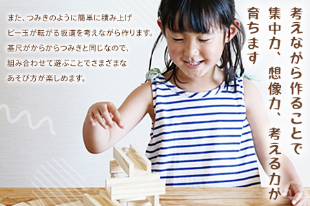 ＜コロカラつみき＆からからつみき3種類クリエイティブセット504P＞《宮崎県産杉使用》木のおもちゃ 知育玩具 子供 おもちゃ 積み木 男の子 女の子 子ども プレゼント 4歳 5歳 安心 安全 国産 杉 ベビー向け 誕生日 贈り物 お祝い【B-1711-bo】【boofoowoo】
