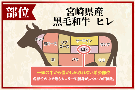 ＜宮崎県産黒毛和牛（経産牛）ヒレステーキ4枚＞(計約600g・約150g×4P)マキシマムスパイス(小袋)付き 国産 九州産 牛肉 精肉 ヒレ フィレ  赤身 希少部位 ステーキ 焼肉 アウトドア 調味料 お祝い 誕生日 結婚記念日 贈り物 ギフト【MI025-nk】【中村食肉】
