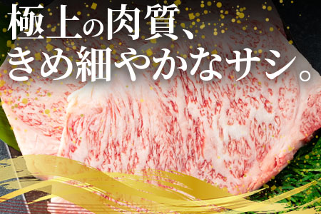 ＜宮崎牛ロースステーキ 2枚(総量500g)＞宮崎県産 国産 BBQ特集 【MI058-my】【ミヤチク】 2枚