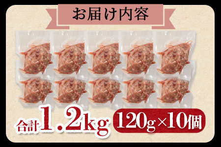 ＜宮崎県産黒豚ヒレハンバーグ120g×10個＞(120g×10個・計1.2kg)の冷凍小分けセット！ BBQ特集 【MI104-nk】【中村食肉】