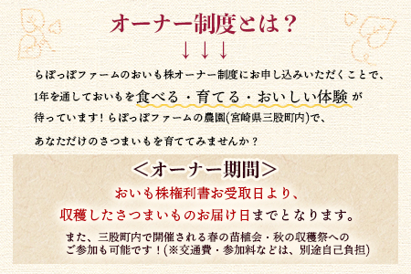 【先行予約】＜【B】おいも株オーナー制度1口セット2株 霧島紅かぐら(最低2.4kg保証)+特産品＞2026年12月中旬頃に熟成されたさつまいもときんかんをお届け！【MI187-sh-s】【株式会社育みの里しろはと】 【先行予約】