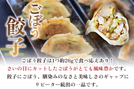 【数量限定！】＜福栄生餃子店餃子4種(ニラ・ごぼう・ニンニク・エビチーズ)セット＞【MI286-fu】【福栄生餃子店】
