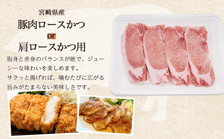 ＜味彩豚 豚肉バラエティ約3kgセット＞ バラエティー 国産 ぶた お肉 ブタ 精肉 切り落し こま 小間切れ 豚コマ バラ肉 使いやすい パック 冷凍 保存 切り身 スライス おかず お弁当 惣菜 ポークカレー 肉じゃが 料理 アレンジ 【MI551-tr】【TRINITY】