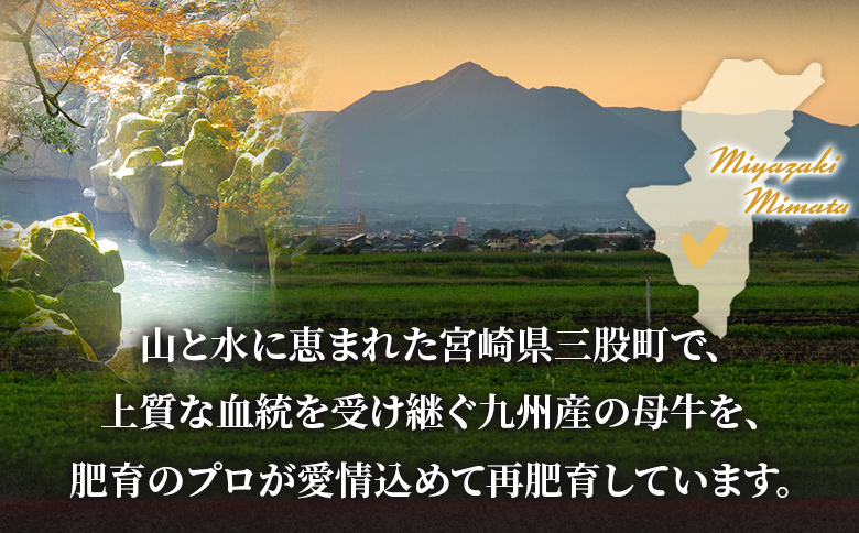 黒毛和牛 中村牛切り落とし 合計1kg(250g×4)   国産 九州産 脂身 牛肉 赤身 すき焼き 牛丼 肉じゃが プルコギ 煮込み 使いやすい 小分け 便利 こま切れ 牛こま コマ 小間 薄切り お肉 冷凍【MI642-jc】【Jコーポレーション】