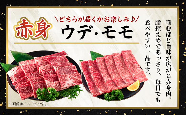 ＜宮崎牛赤身【焼肉】（ウデorモモ）600g＞【6月発送】脂控えめ ヘルシー あっさり うで もも 炒め物 肉料理 ご馳走 国産 ブランド牛肉 黒毛和牛【MI682-my-jun】【ミヤチク】 【焼肉/600g】6月発送