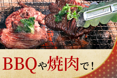 ＜厚切り牛タン（外国産）塩味 500g(約500g×1)＞牛肉 真空パック 個包装 小分け 牛タン タン肉 厚切り 塩味 BBQ バーベキュー 焼肉【MI702-hr】【肉の豊楽】 500g(約500g×1)