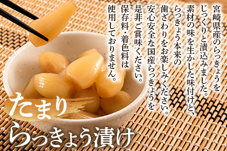 ＜純国産たまりらっきょう1.3kg（130g×10P）＞おつまみやご飯のおともに！【MI012-ko】【株式会社上沖産業】