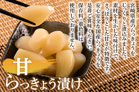 【野菜ランキング上昇中！】＜純国産甘らっきょう 1.3kg（130g×10P）＞おつまみやご飯のおともに！【MI014-ko】【株式会社上沖産業】 1.3kg（130g×10P）