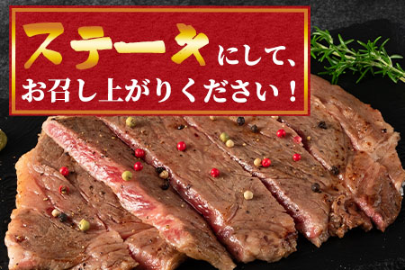 ＜宮崎牛ロースステーキ 2枚(総量500g)＞宮崎県産 国産 BBQ特集 【MI058-my】【ミヤチク】 2枚