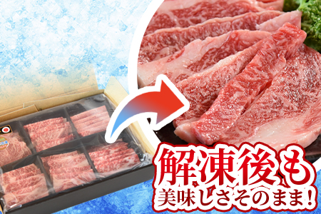 ＜3D冷凍宮崎牛焼肉食べ比べセット＞(合計600g)6肩ロース、バラ、モモ、ウデ、ロース、ヒレ各100gずつ！ BBQ特集 【MI089-my】【ミヤチク】