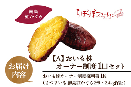 【先行予約】＜【A】おいも株オーナー制度1口セット2株 霧島紅かぐら(最低2.4kg保証)＞2026年12月中旬頃に熟成されたさつまいもをお届け! 【MI106-sh-s】【株式会社育みの里しろはと】 【先行予約】