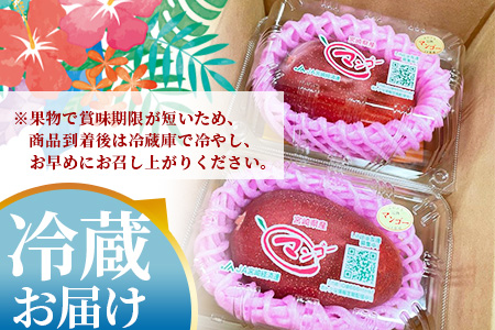 ＜【先行予約】【期間数量限定】2026年5月より順次発送 宮崎県産完熟マンゴー2L 2玉パック入り＞(1玉入り×2パック・階級2L)【MI232-yk-x1】【みまたんよかもん協同組合】 2L 2玉