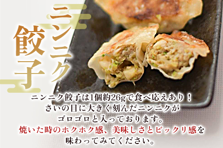 【数量限定！】＜福栄生餃子店餃子4種(ニラ・ごぼう・ニンニク・エビチーズ)セット＞【MI286-fu】【福栄生餃子店】