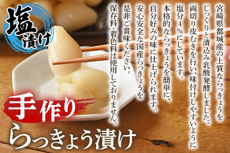 ＜手づくりらっきょう 400g×3袋セット＞ラッキョウ 辣韭 漬物 国産 宮崎県産 【MI321-ko】【株式会社上沖産業】