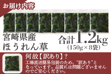 ＜【訳あり】冷凍ホウレンソウ 工場直送簡易包装 小分けパック150g×8袋＞冷凍野菜 カット野菜 小分け ホウレンソウ ストック 冷凍食品 時短 国産九州産 簡単 料理 調理 アレンジ 夕食 和食 和え物 お弁当 おかず 副菜【MI546-bk】【ベーカリー梅茂登】 1.2kg(150g×8)
