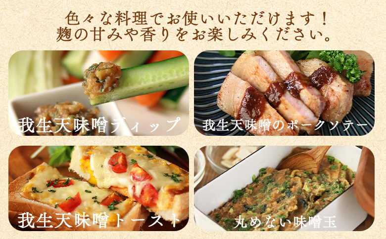 ＜我生天味噌 4個＞300g 選べる 内容量 個数 みそ ミソ 調味料 酵母 どぶろく味噌 ドブロク 米 料理 お味噌汁 パック 発酵食品 まろやか マイルド 風味 旨味 加工食品 和食 和 麹 こうじ アレンジ味噌 こだわり 麦みそ【MI577-gs】【我生庵】 300g×4個