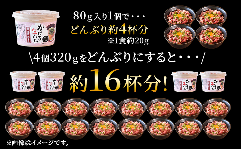 ＜【定期便】全3回隔月　かける国産生ハム80ｇ×4個×3回＞国産 豚肉 お肉 生ハム 短冊 フレーク状生ハム トッピング 熱々ご飯 ご飯のお供 ごはん かけるだけ ズボラ飯 ユッケ サラダ パスタ ピザ パーティー おつまみ グルメ アレンジ おしゃれ【MI614-pl】【株式会社プラス】 【定期便】全3回隔月