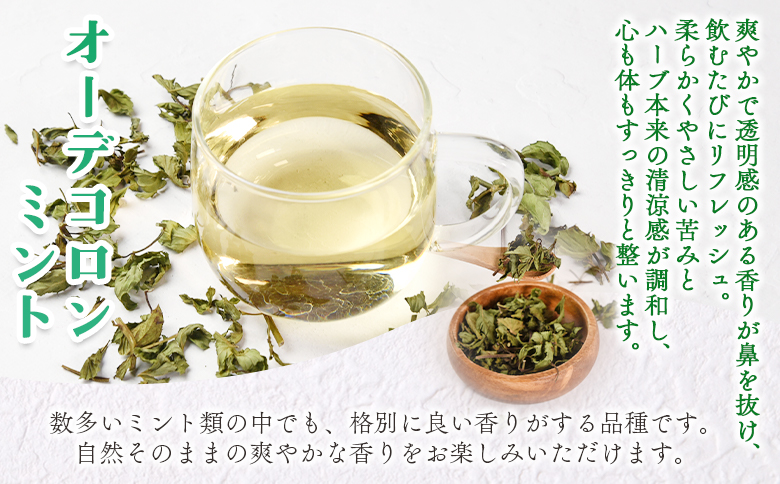 ＜ハーブティー3種セット（ローゼル・ローゼルロゼ・ミント）＞国産 ドライ ハーブハイビスカス ローゼルの実 オーデコロン ミントティー フルーティー 自然 香りや風味が豊か 健康茶 ノンカフェイン 癒し宮崎県 三股町【MI619-bi】【美香園】