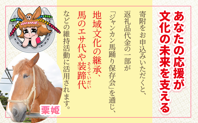 ＜地域の祭りを彩る ジャンカン馬 栗姫を応援！オリジナルキャラクタージャンカちゃんグッズ付（大人サイズTシャツ1枚）＞【MI638-ar】【アラテイク】