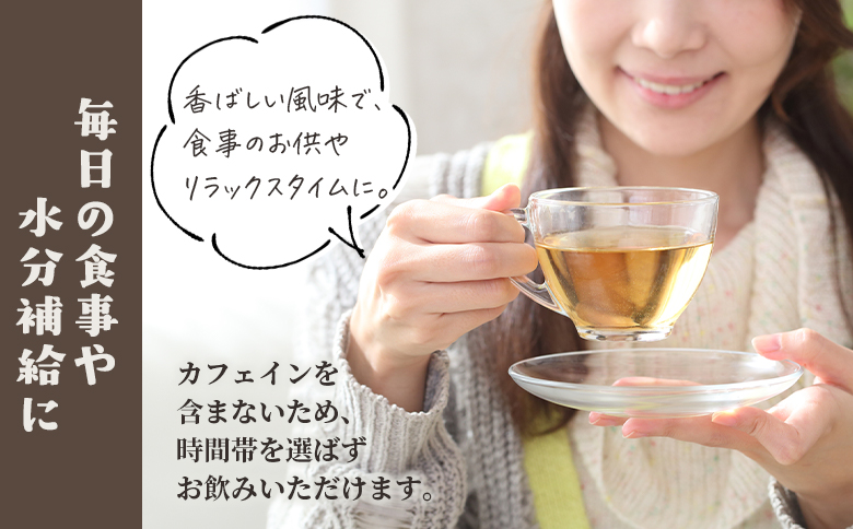 ＜ごぼう茶 45g(1.5g×30包)＞ティーバッグごぼう茶 国産ごぼう使用 ホット 熱い 水出し アイス ノンカフェイン 飲みやすい スピード発送【MI668-jt】【情報図書館】