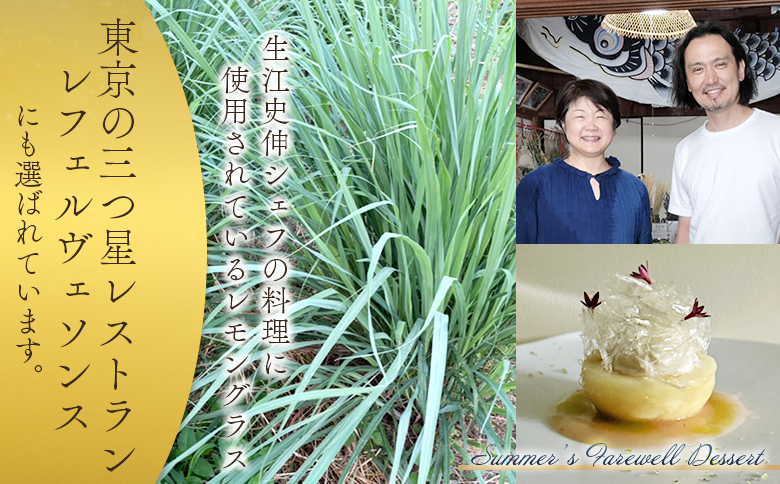 ＜ハーブティー ティーバッグ 1袋3個入（レモングラス）＞国産 乾燥 ハーブティードリンク ノンカフェイン【MI711-bi】【美香園】 レモングラス