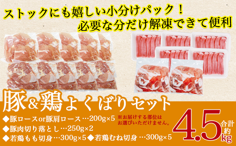 ＜宮崎県産 豚肉鶏肉よくばりセット 合計4.5kg＞ 4種セット 小分けパック 真空パック ロース スライス  精肉 県産 国産 炒め物 煮物【MI731-tr】【TRINITY】