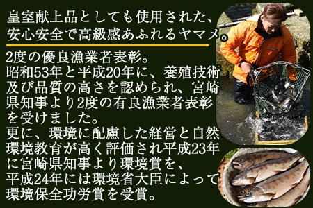 ＜黄金イクラと渓流の女王ヤマメ逸品セット＞(6種)黄金イクラやヤマメなどを詰め合せ！【B-0204-sk】【有限会社しゃくなげの森】