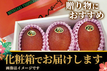 ＜【先行予約】【期間数量限定】2026年5月より順次発送 宮崎県産完熟マンゴー 太陽のタマゴ2L～3L(2～3玉入り)合計900g以上＞【B-0606-yk-x1】【みまたんよかもん協同組合】 2?3L×2?3玉入（合計900g以上）