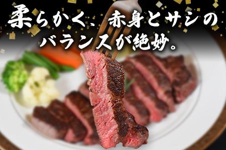 ＜宮崎県産黒毛和牛（経産牛）ヒレステーキ4枚＞(計約600g・約150g×4P)マキシマムスパイス(小袋)付き 国産 九州産 牛肉 精肉 ヒレ フィレ  赤身 希少部位 ステーキ 焼肉 アウトドア 調味料 お祝い 誕生日 結婚記念日 贈り物 ギフト【MI025-nk】【中村食肉】