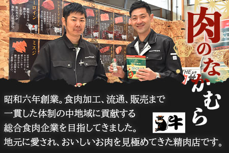 ＜宮崎県産黒豚ヒレハンバーグ120g×10個＞(120g×10個・計1.2kg)の冷凍小分けセット！ BBQ特集 【MI104-nk】【中村食肉】