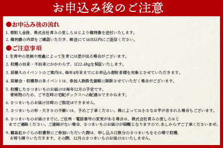 ＜【A】おいも株オーナー制度1口セット2株 霧島紅かぐら(最低2.4kg保証)＞12月中旬頃に熟成されたさつまいもをお届け! 【MI106-sh-t】【株式会社育みの里しろはと】 【通常】