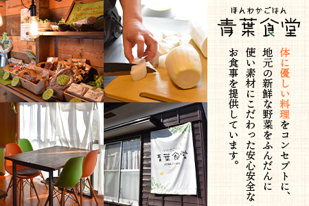 ＜野菜が食べたくなるドレッシング2種類と万能「よかたれ」セット＞玉ねぎ(200ml)、人参(200ml)、宮崎産こだわりの素材を使用した醤油タレ(500ml)様々なお料理の下味や出汁に！ BBQ特集 【MI138-ao】【青葉食堂】