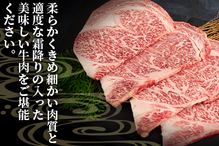 ＜宮崎牛ロースステーキ 600g（150g×4枚）＞ A4 A5 宮崎牛 A4ランク ロースステーキ ステーキ用 ギフト  送料無料 【MI159-nh】【日本ハムマーケティング株式会社】