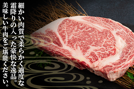 ＜BBQに！宮崎牛ワンポンドステーキ 454g＞細かい肉質で柔らかく適度な霜降りの入った豪快な逸品！美味しい牛肉をご堪能下さい！ BBQ特集 【MI164-nh】【日本ハムマーケティング株式会社】