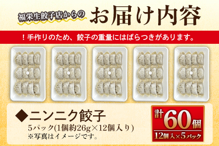 【数量限定！】＜ニンニク餃子(12ヶ入×5パック)＞【MI282-fu】【福栄生餃子店】