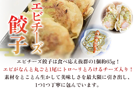 【数量限定！】＜福栄生餃子店餃子4種(ニラ・ごぼう・ニンニク・エビチーズ)セット＞【MI286-fu】【福栄生餃子店】