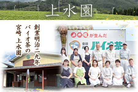 ＜微粉末茶 颯々 20本＞選べる 内容量 お茶 茶葉 tea 緑茶 製茶 茶粉末 アイス ティー スティック 持ち運び マグボトル お手軽 小分け 飲料類 水分補給 アレンジ お菓子 国産 宮崎県産 九州産 アウトドア お中元 敬老の日【MI395-km】【宮崎上水園】