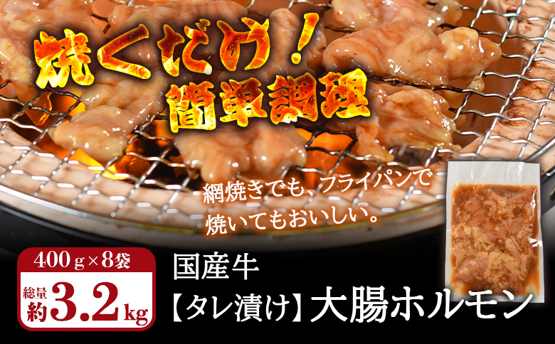 ＜【訳あり】国産牛ホルモン大腸（特製タレ漬け）計3.2kg(400g×8袋)＞大腸を秘伝の特製タレに漬け込みました！【MI428-nk】【中村食肉】 計3.2kg(400g×8袋)