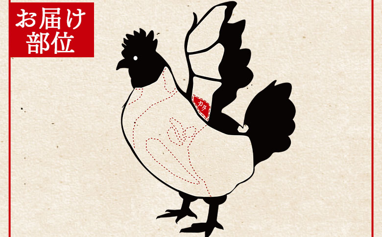 ＜宮崎県産鶏肉 肩肉 約3kg＞ 国産 鶏 肉 精肉 モモ もも肉 使いやすい パック 真空冷凍 切り身 選べる数量 お弁当 惣菜 からあげ 照り焼き 数量限定 BBQ バーベキュー 鶏ムネ 鶏むね 鳥モモ かた 肩肉 小分け 【MI439-tr】【TRINITY】